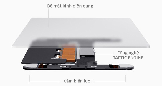 Cấu tạo Force Touch trackpad.